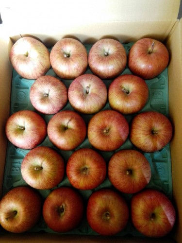 佐賀県のM・K様よりりんごをいただきました！